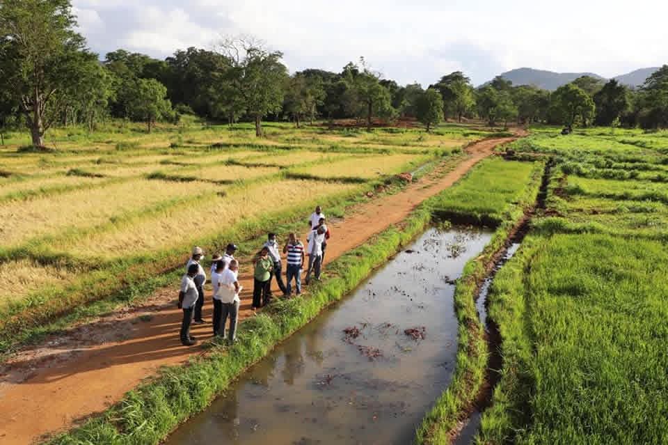 Sustainable agriculture program