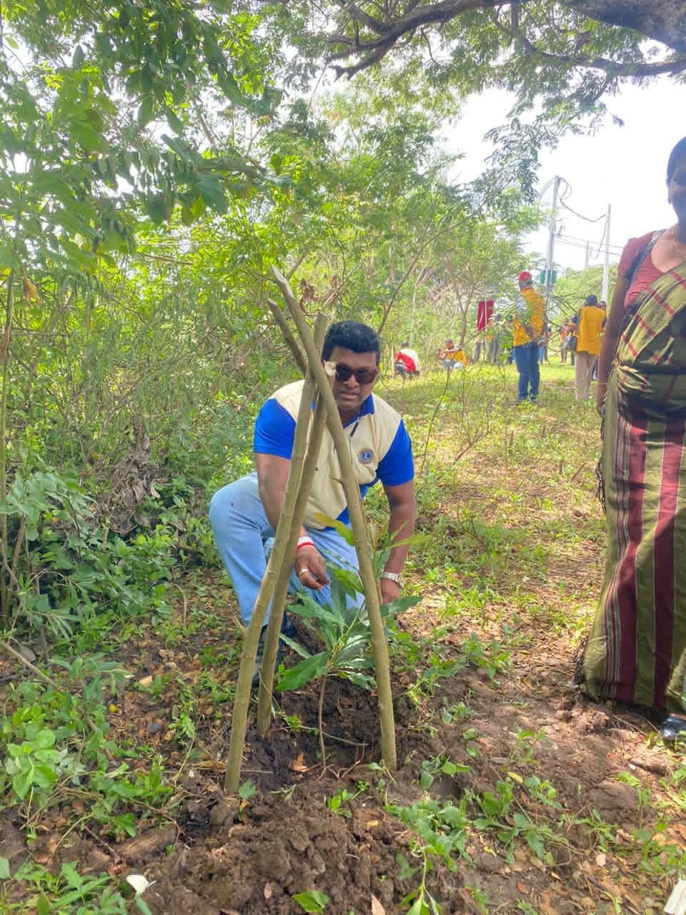 Tree planting 2024